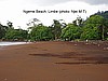 Beach at Limbe (photo: Njei M. T)